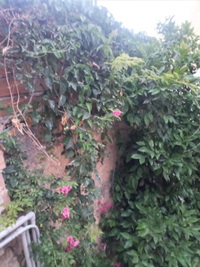 Magic Moon Guest House Famagusta  Luaran gambar