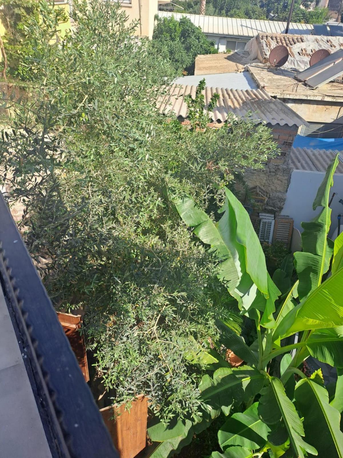 Magic Moon Guest House Famagusta  Luaran gambar