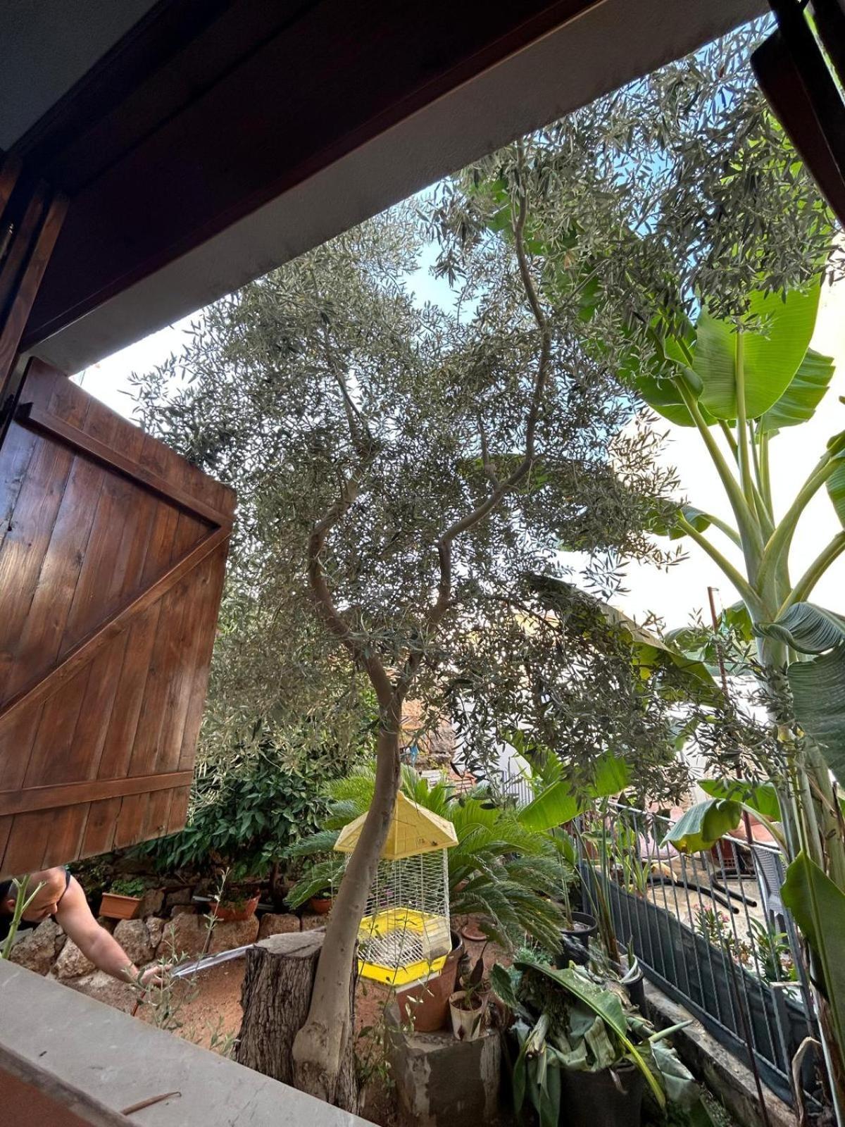Magic Moon Guest House Famagusta  Luaran gambar